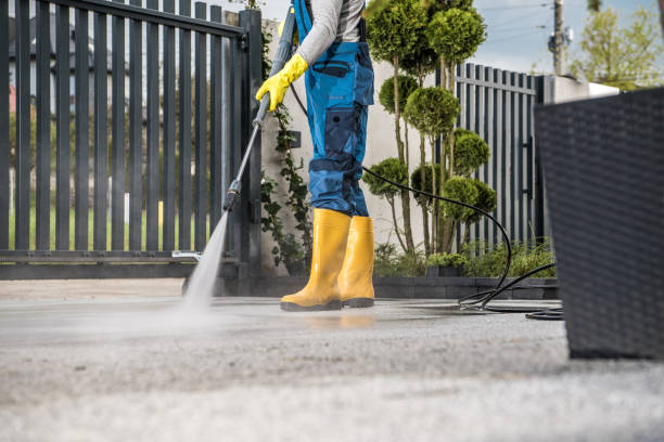 Best Driveway Pressure Washing  in Dickinson, TX